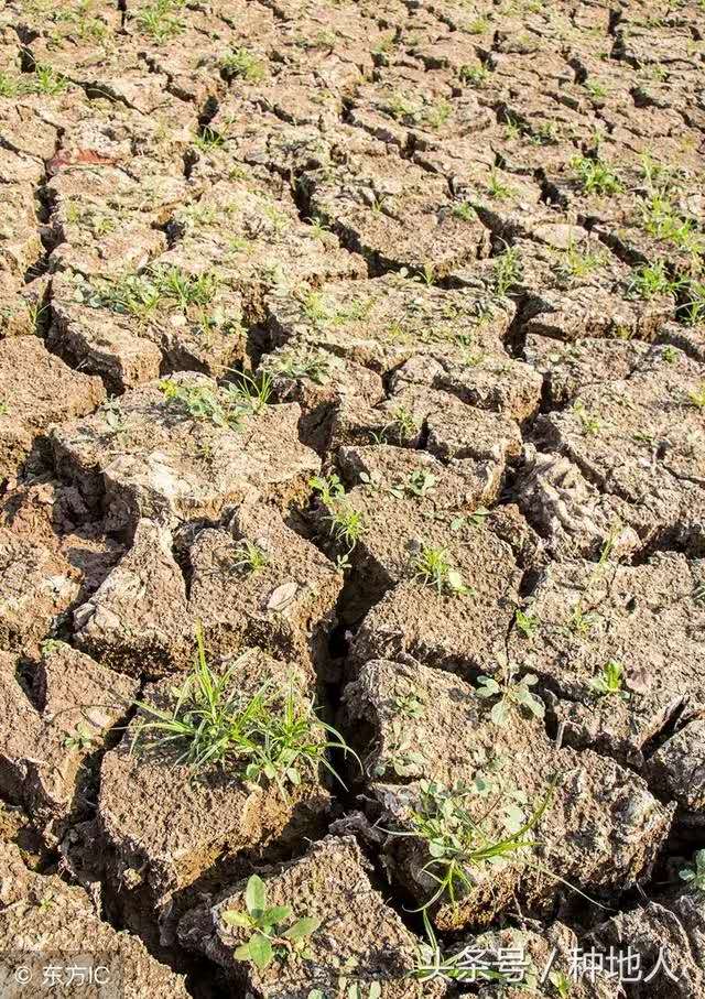 圖片1.jpg 圖片1.jpg