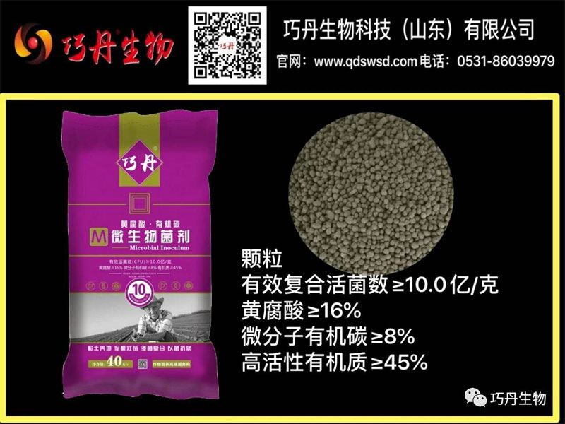 圖片3.jpg 圖片3.jpg