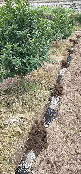 圖片4.jpg 圖片4.jpg