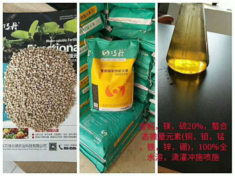 圖片1.jpg 圖片1.jpg