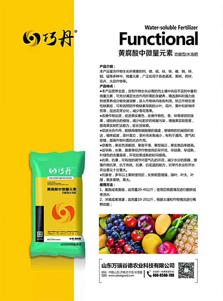 圖片2.jpg 圖片2.jpg