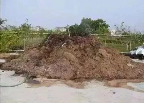 圖片1.jpg 圖片1.jpg