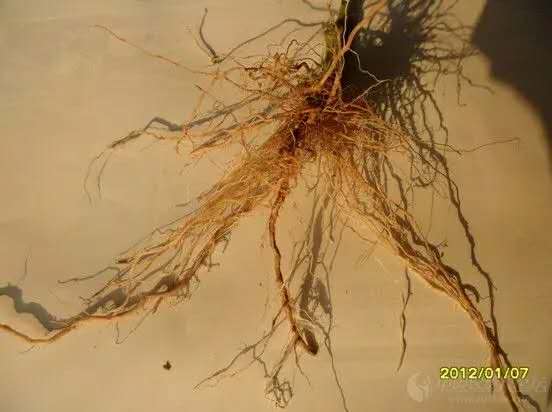 圖片2.jpg 圖片2.jpg