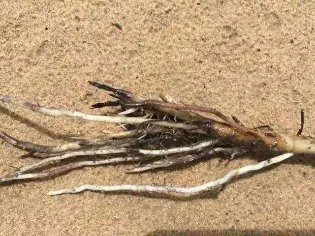 圖片3.jpg 圖片3.jpg