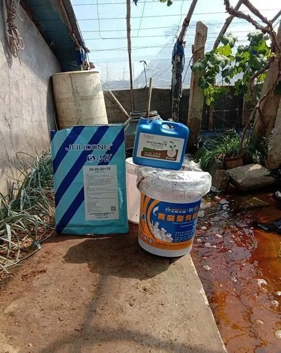 圖片3.jpg 圖片3.jpg