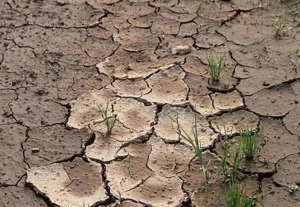 圖片1.jpg 圖片1.jpg