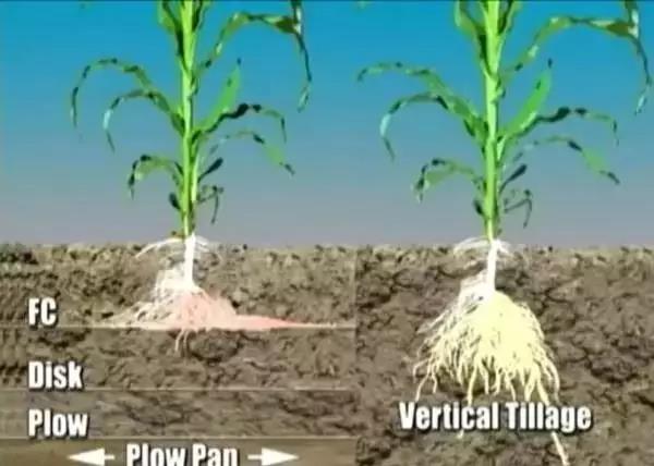 圖片4.jpg 圖片4.jpg