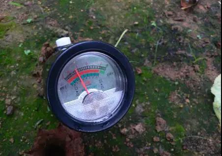 圖片5.jpg 圖片5.jpg