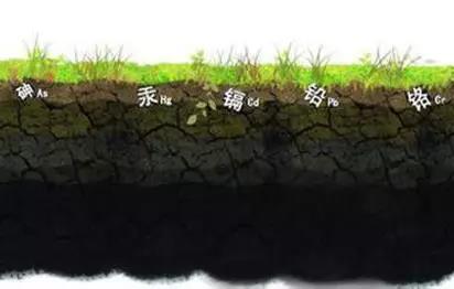 圖片7.jpg 圖片7.jpg