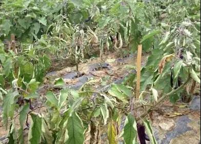 圖片8.jpg 圖片8.jpg