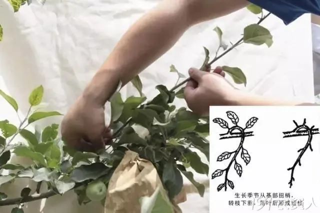 圖片1.jpg 圖片1.jpg