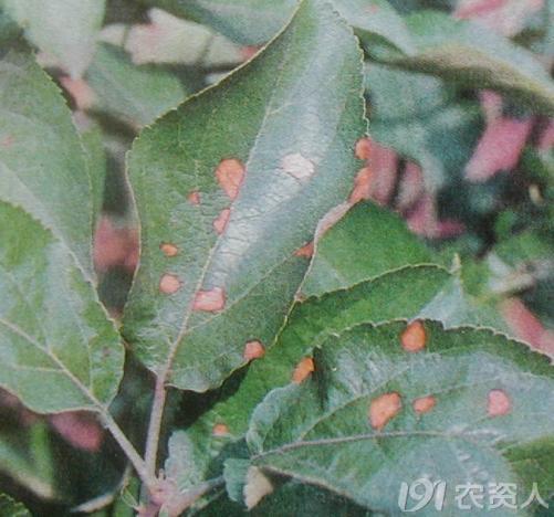 圖片2.jpg 圖片2.jpg