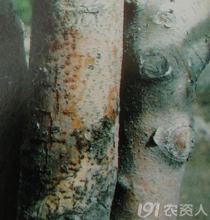 圖片3.jpg 圖片3.jpg