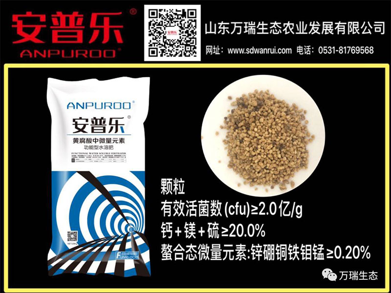 圖片5.jpg 圖片5.jpg