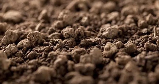 圖片1.jpg 圖片1.jpg