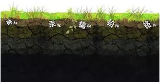 圖片2.jpg 圖片2.jpg