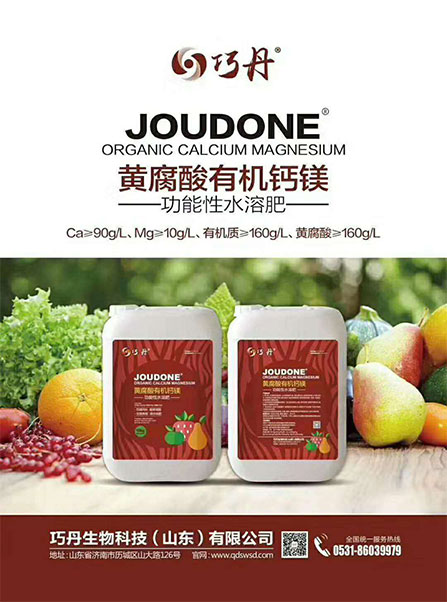 圖片3.jpg 圖片3.jpg