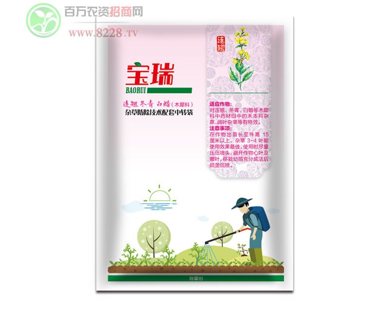 BNࡢϞľϬˎĳ݄-