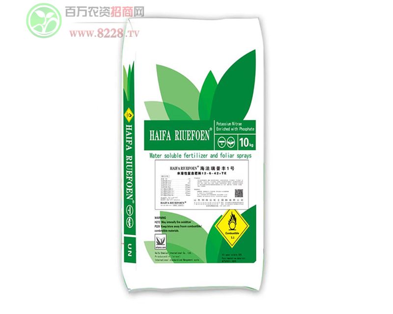 S1̖ˮԏͺϷ12-6-42+TE