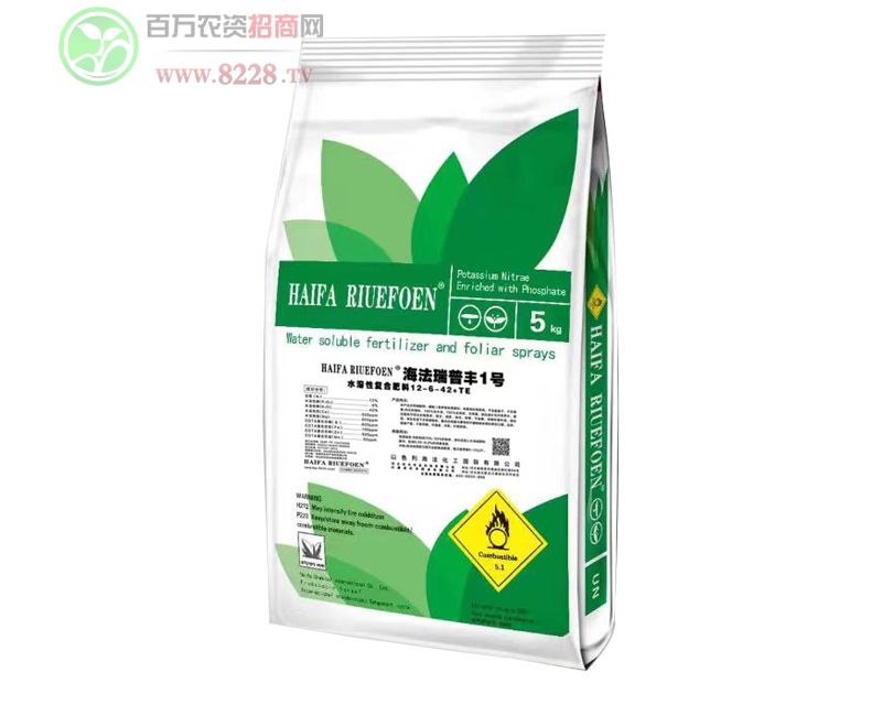 S1̖ˮԏͺϷ12-6-42+TE